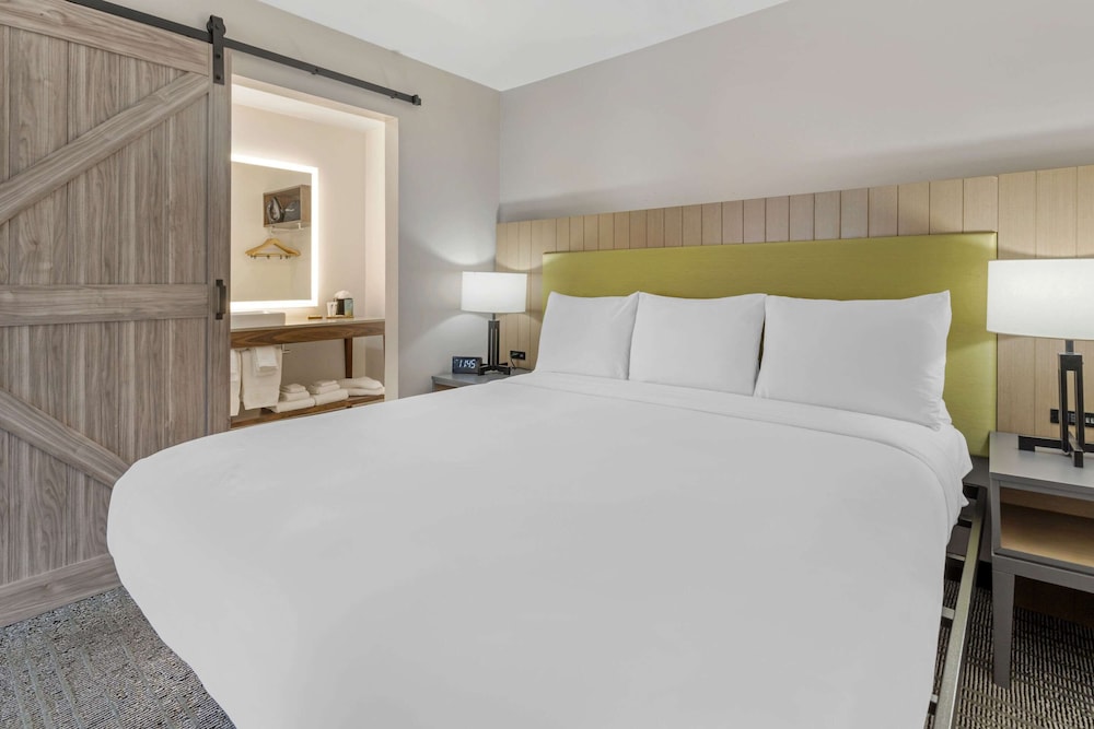 Suite, 1 Bedroom, Non Smoking photo 1