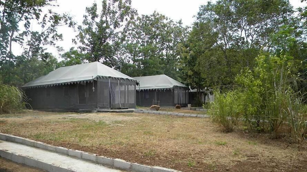 Deluxe Family Lodge photo 2