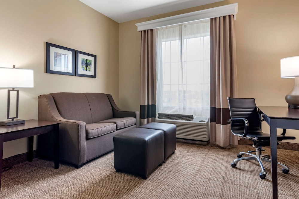 Suite, 1 King Bed with Sofa bed, Accessible, Non Smoking (Efficiency) - Photo 4
