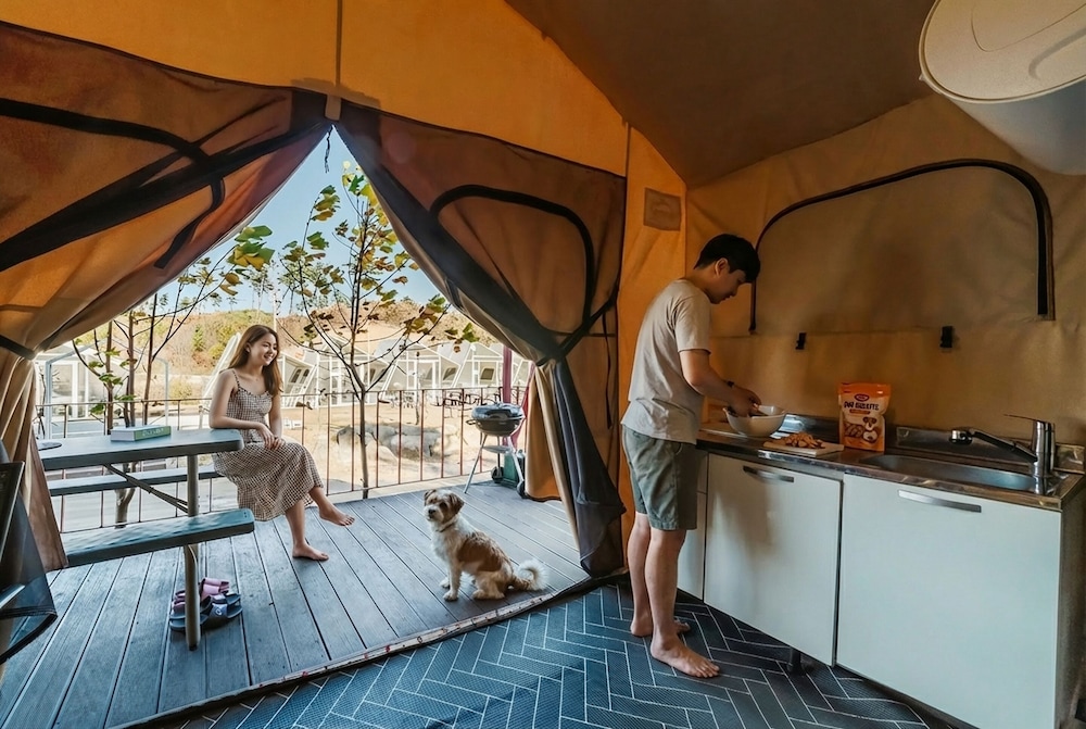 Basic Room, 1 Bedroom (Polaris Pet-friendly 3 (Random)) photo 1