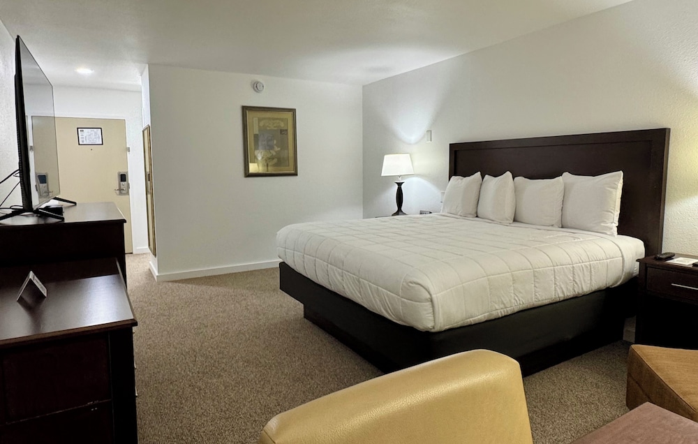 Basic Single Room photo 3