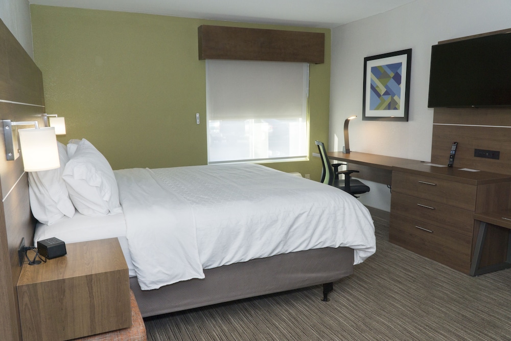 Room, 1 King Bed, Accessible (Communications, Roll-In Shower) - Photo 5