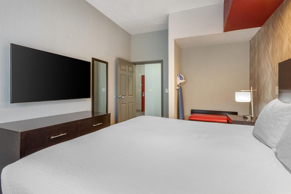 Suite, 1 King Bed, Accessible, Kitchen (with Sofabed) photo 2