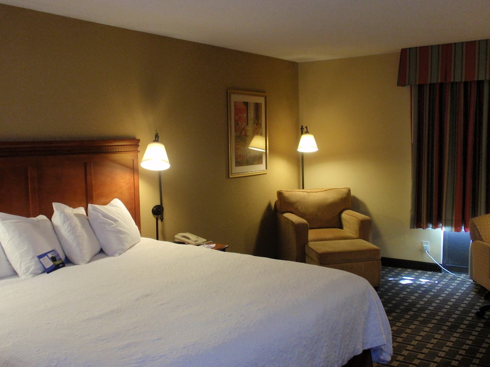 Room, 1 King Bed, Accessible, Non Smoking (Mobility,Hearing,Tub w/Grab Bars) - Photo 5