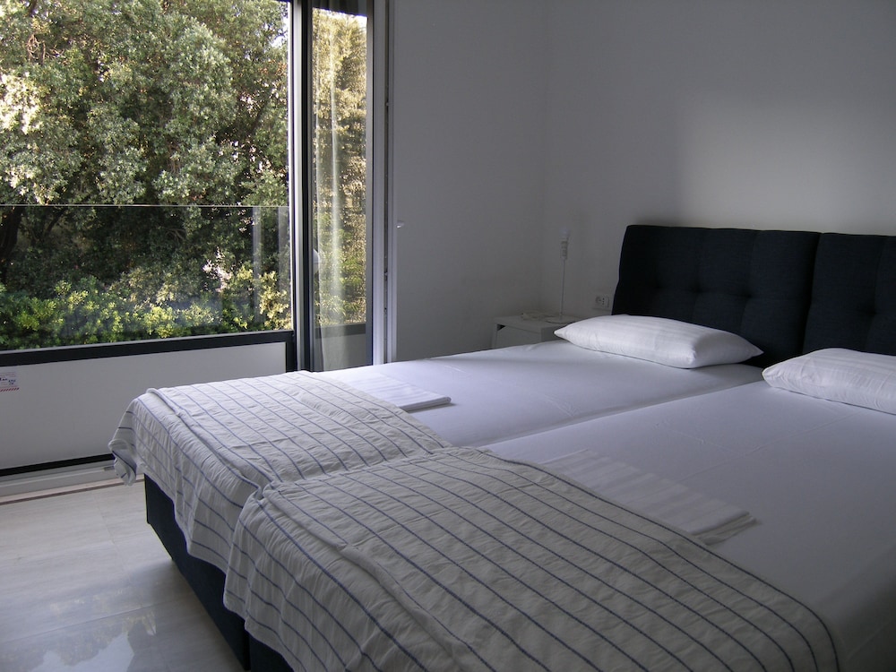 Deluxe Apartment, 1 bedroom, 1 living room photo 3