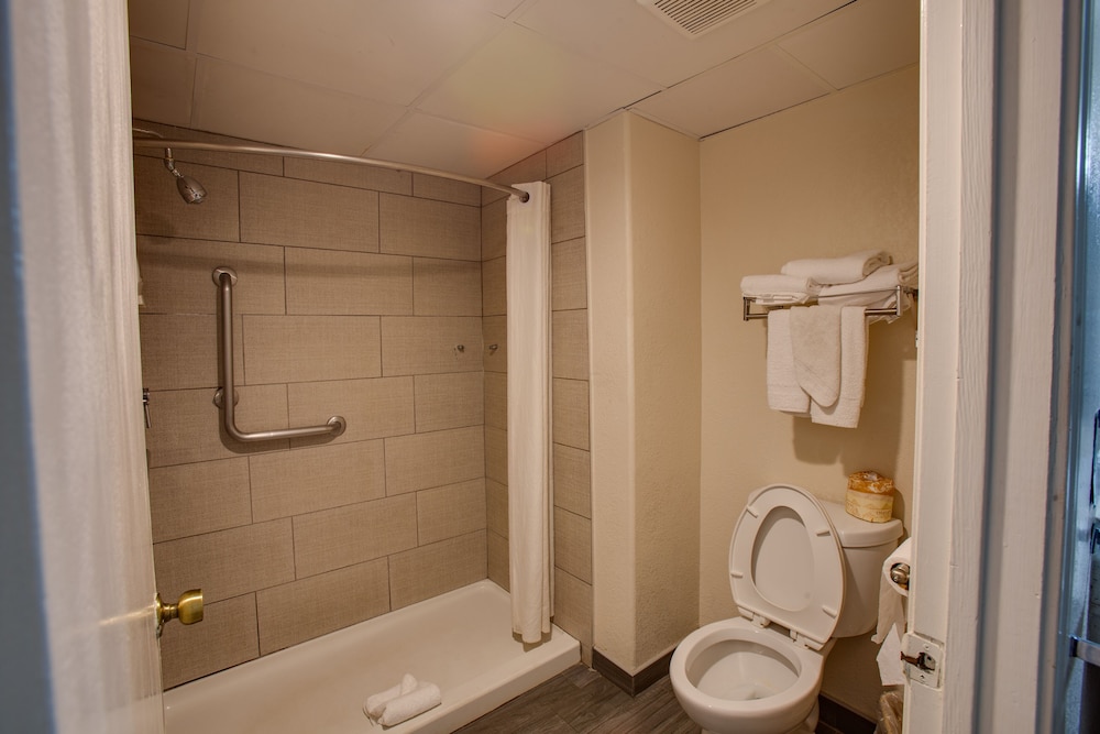 Basic Room - Photo 5