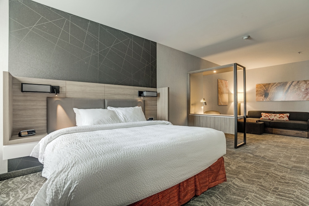 Suite, 1 King Bed with Sofa bed (Hearing Accessible) photo 2