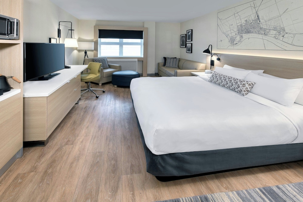 Room, 1 King Bed with Sofa bed photo 1