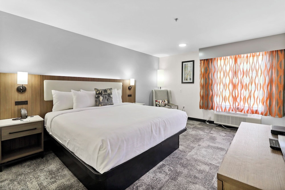 Room, 1 King Bed, Non Smoking - Photo 8