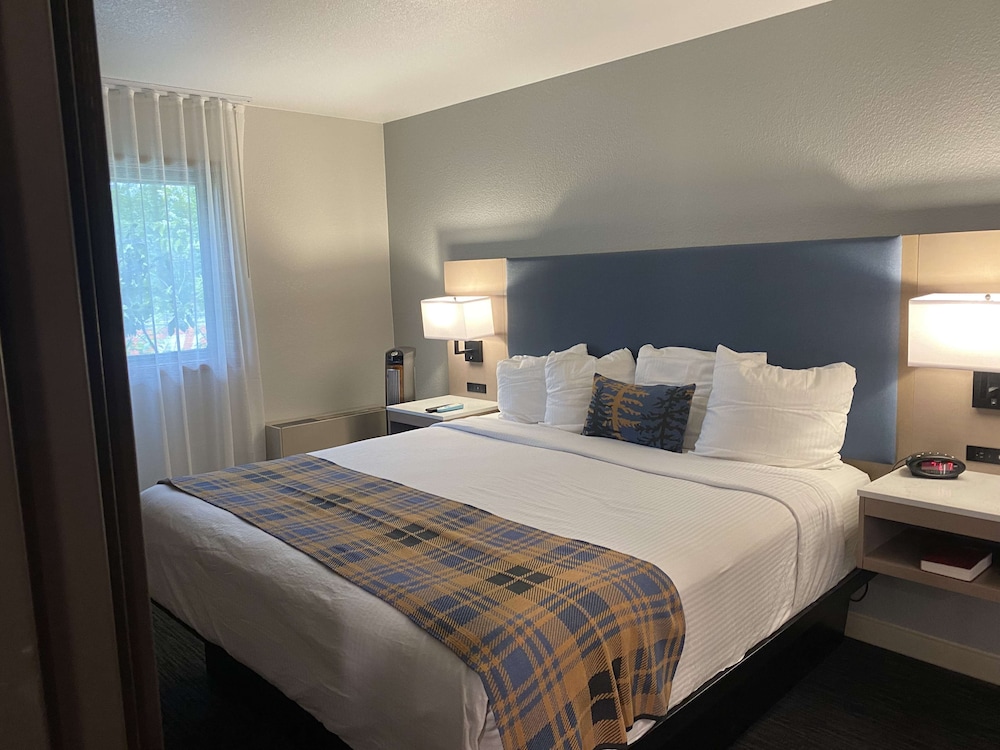 Standard Room, 1 King Bed, Non Smoking (with Single Sofabed) - Photo 1