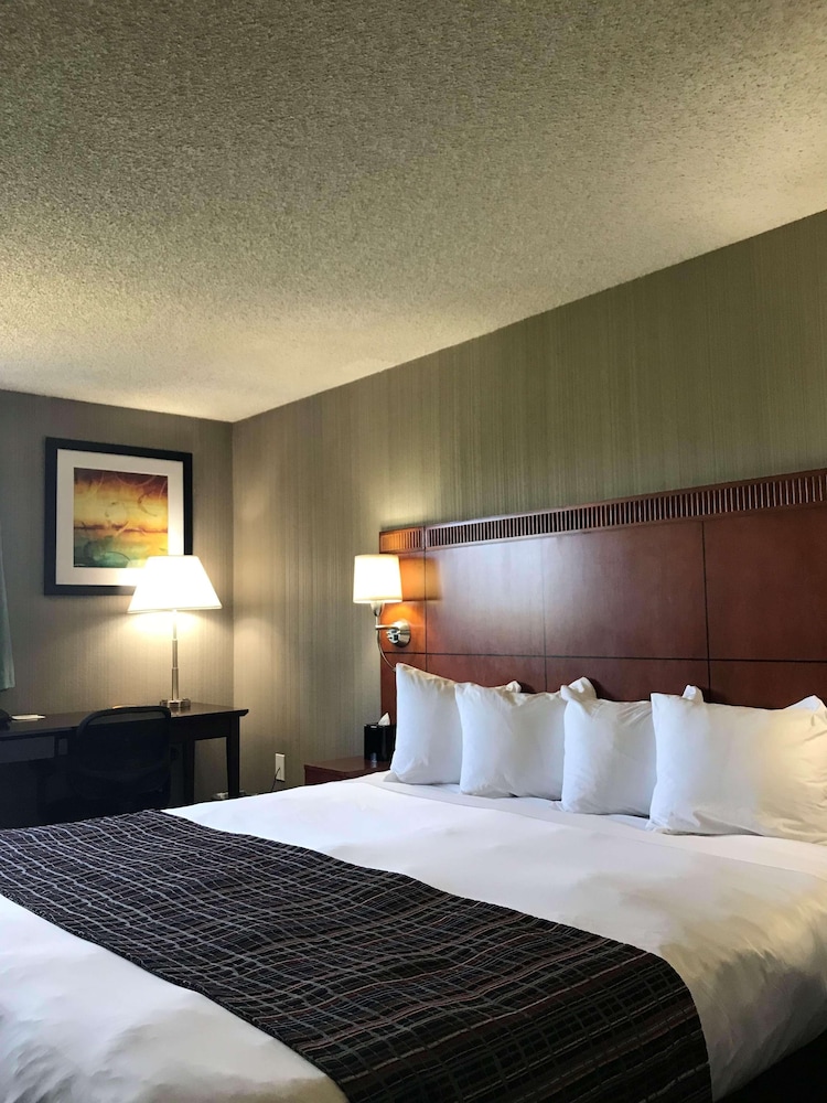 Suite, 1 King Bed, Non Smoking