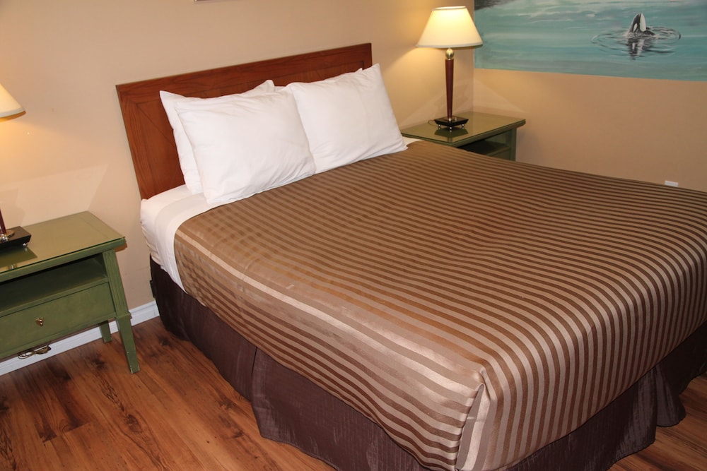 Standard Room, 1 Twin Bed (above restaurant) - Photo 4