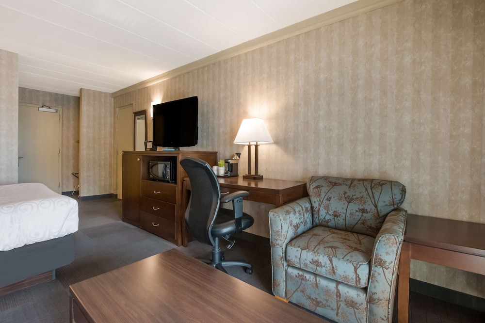 Standard Room, 1 Queen Bed, Non Smoking, Fireplace (with Sofabed) - Photo 11