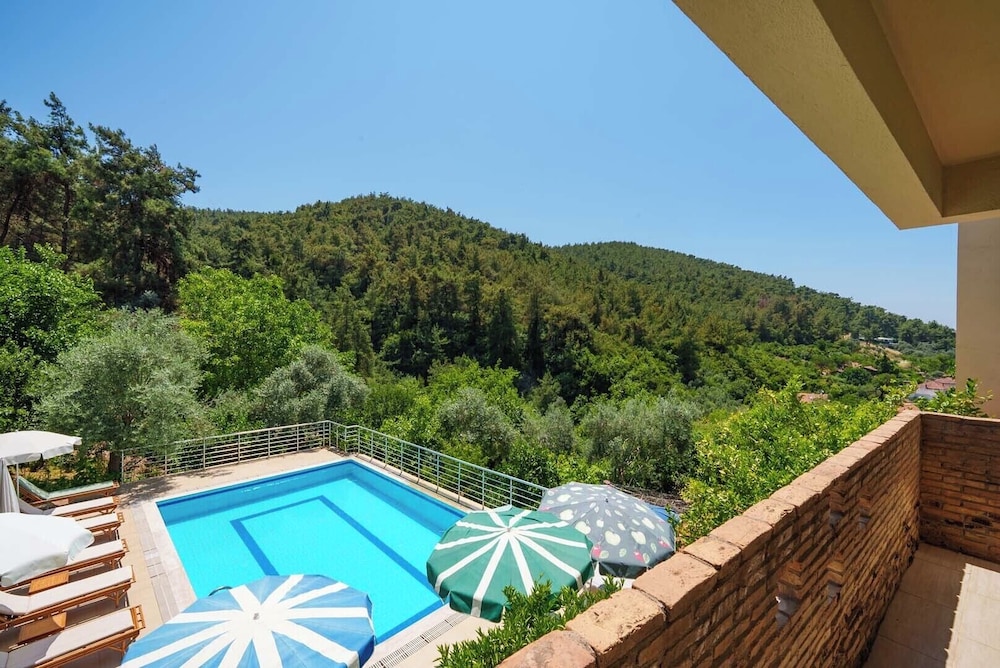 Luxury Studio Suite, Mountain View - Photo 6
