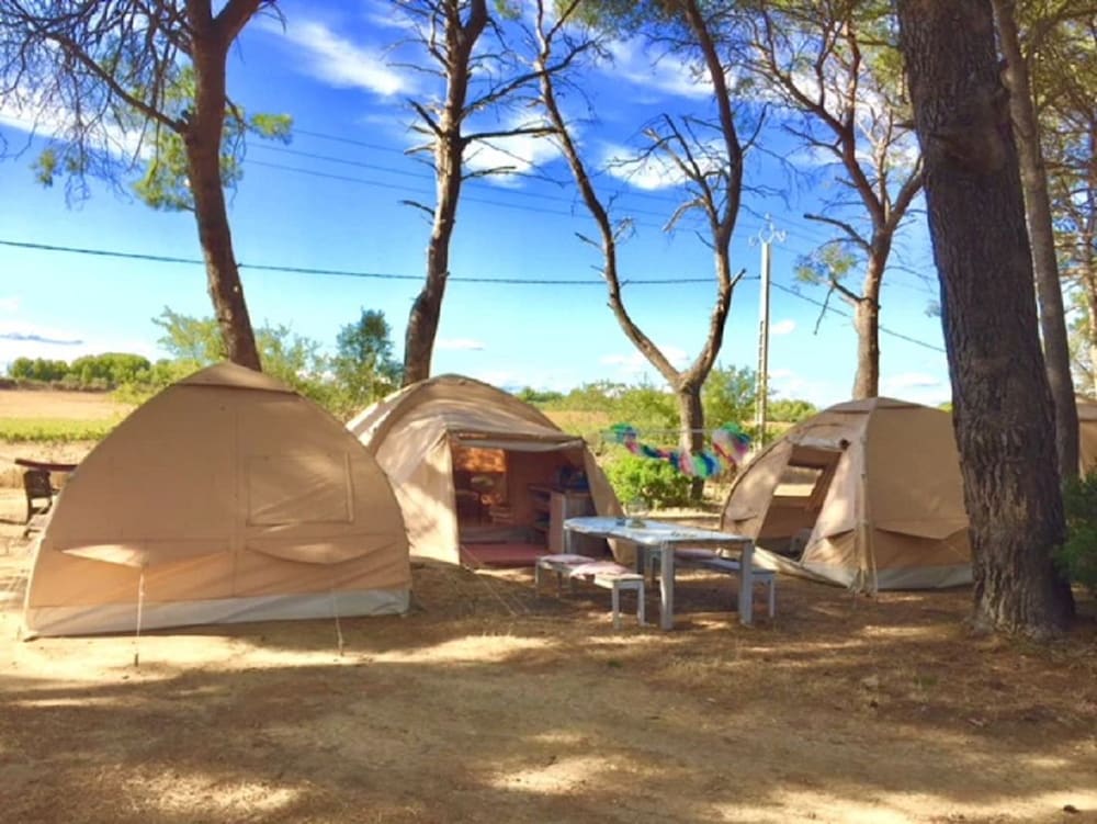 Tent (Merlot) photo 3