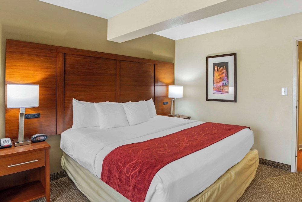 Deluxe Suite, 1 Bedroom, Non Smoking (King Bed and Sofa Bed) photo 1