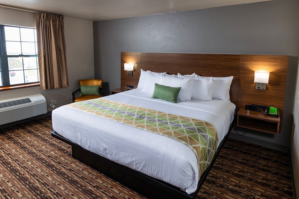 Executive 2 Room Suite, 1 King Bed - Photo 6