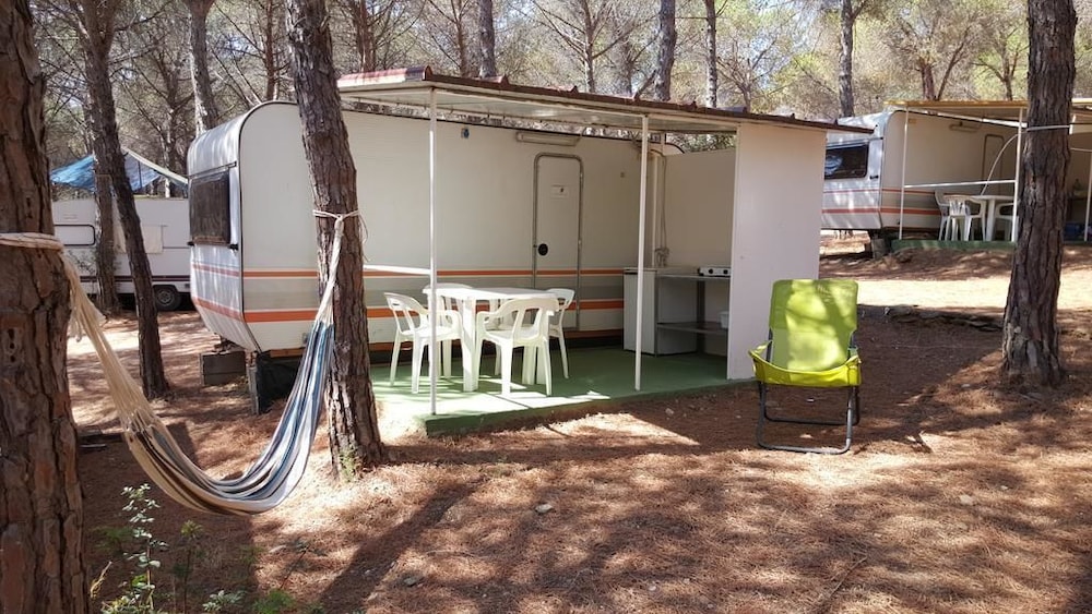 Mobile Home