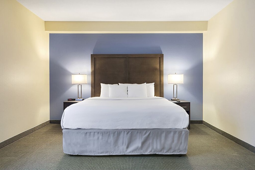 Suite, 1 King Bed, Non Smoking photo 1