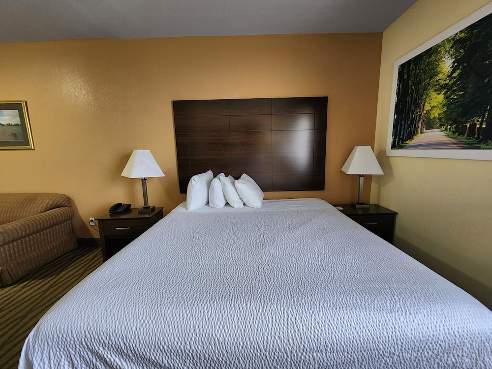 Deluxe Studio Suite, 1 King Bed, Non Smoking - Photo 4