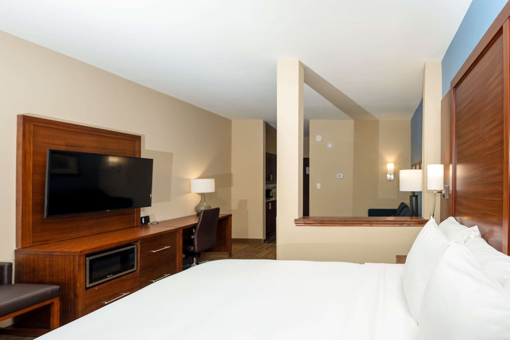 Suite, 1 King Bed with Sofa bed, Non Smoking (Wet Bar) - Photo 3