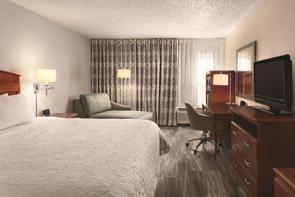Room, 1 King Bed, Accessible, Non Smoking (Roll-in Shower) - Photo 1