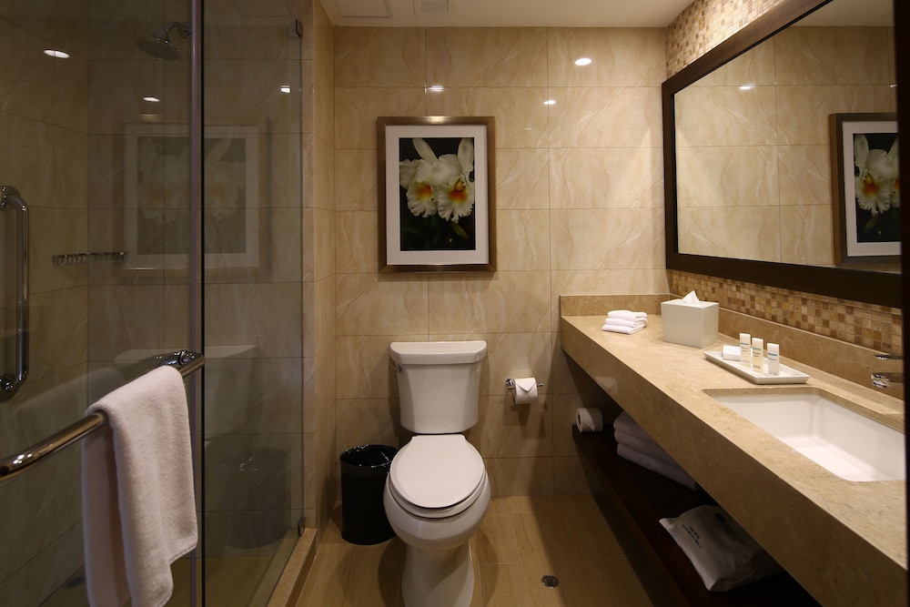 Suite, 1 King Bed photo 3