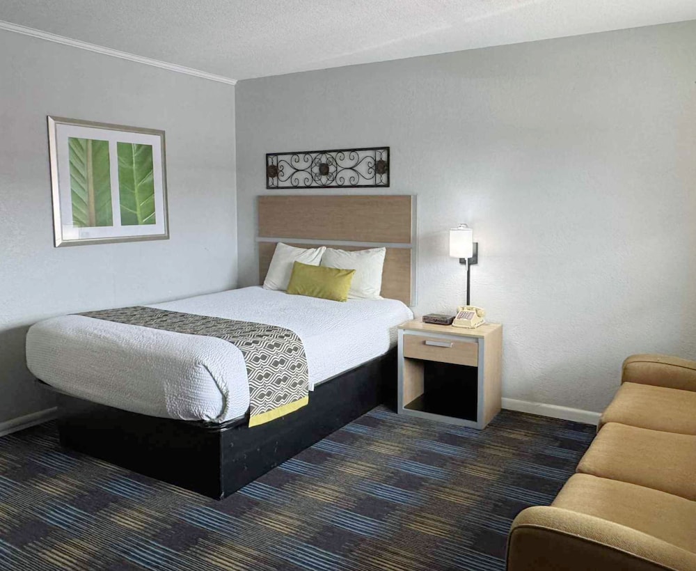 Standard Room, 3 Bedrooms photo 1