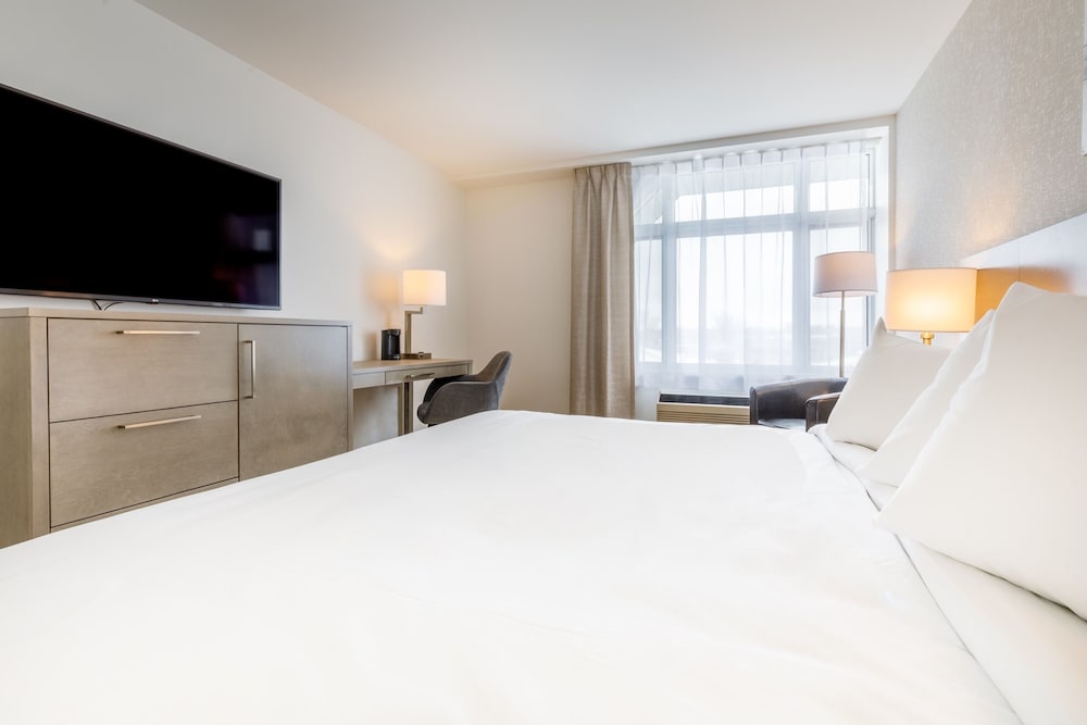 Executive Room, 1 King Bed photo 2