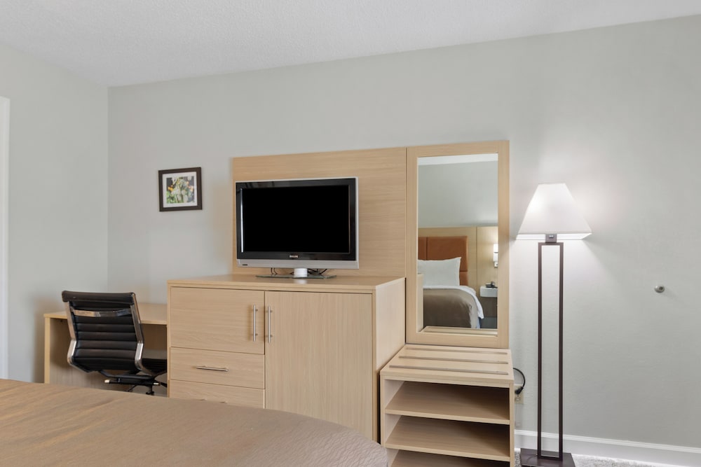 Deluxe Room, 1 King Bed, Roll-in Shower, Non Smoking photo 1