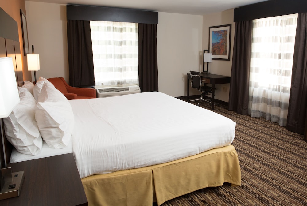 Standard Room, 1 King Bed, Accessible (Communication, Accessible Tub) - Photo 1