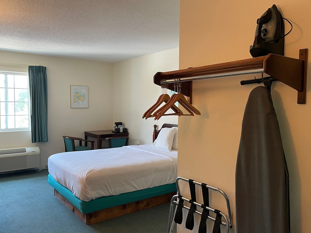 Room, 1 Queen Bed, Accessible photo 1