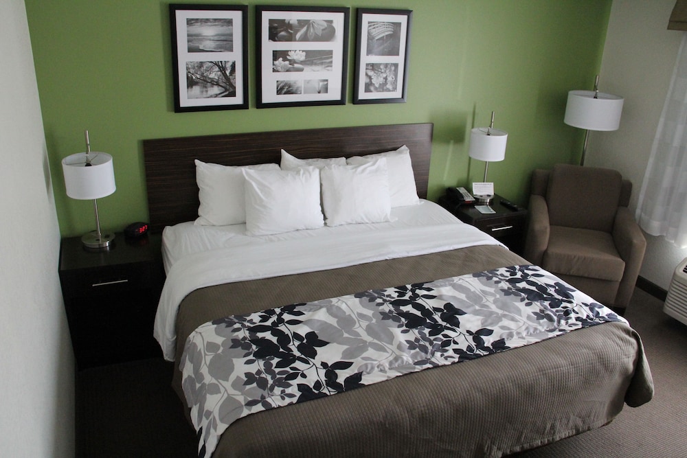 Standard Room, 1 King Bed, Non Smoking - Photo 2