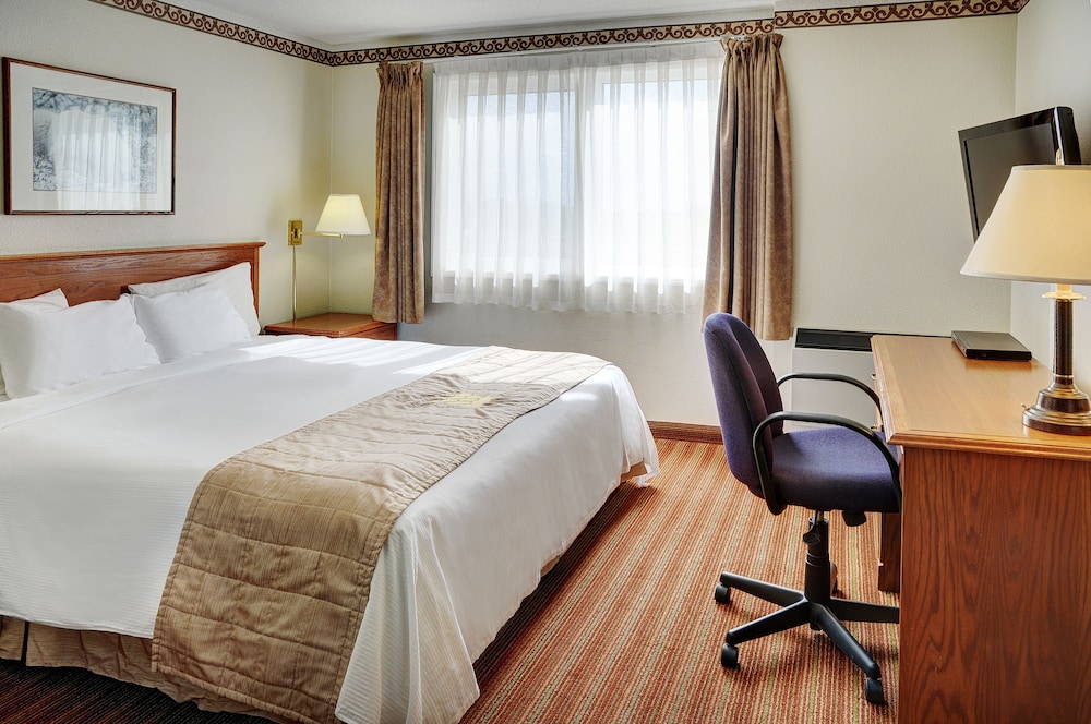 Traditional Single Room, 1 King Bed photo 2