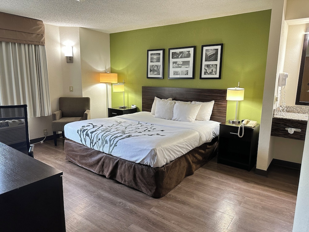 Suite - Photo 1