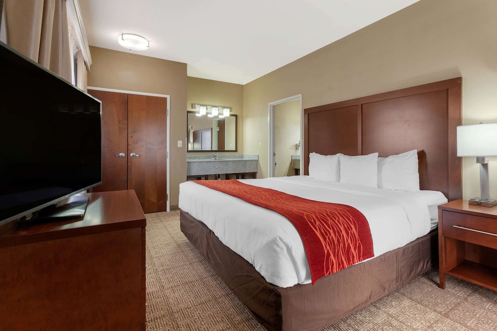 Executive Suite, 1 King Bed with Sofa bed, Non Smoking - Photo 4