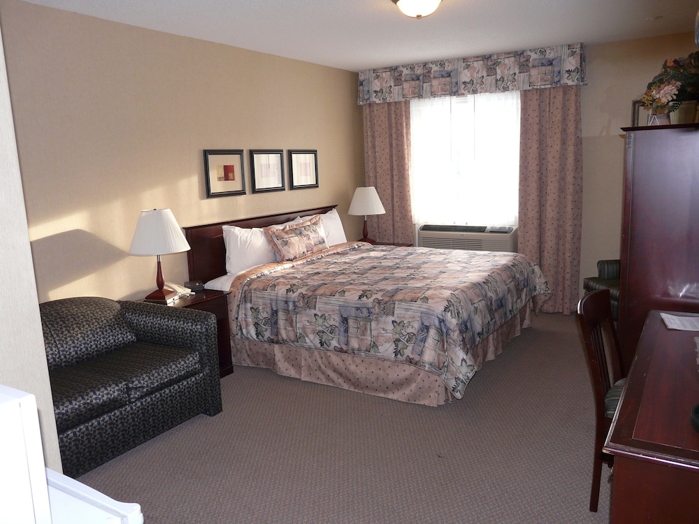Standard Room, 1 King Bed with Sofa bed