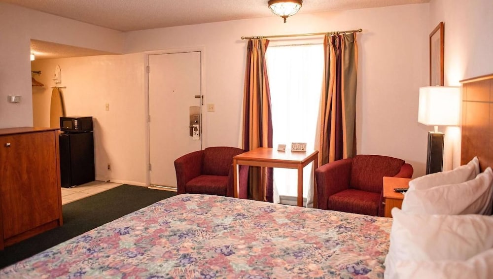 Comfort Single Room, 1 King Bed, Non Smoking photo 3