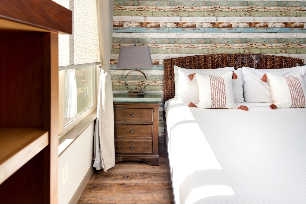 Suite, 1 King Bed with Sofa bed photo 1