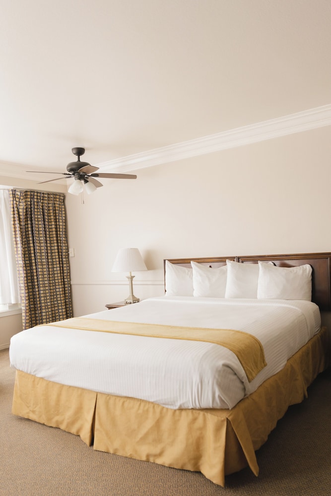 Executive Room, 1 King Bed, Tower - Photo 3