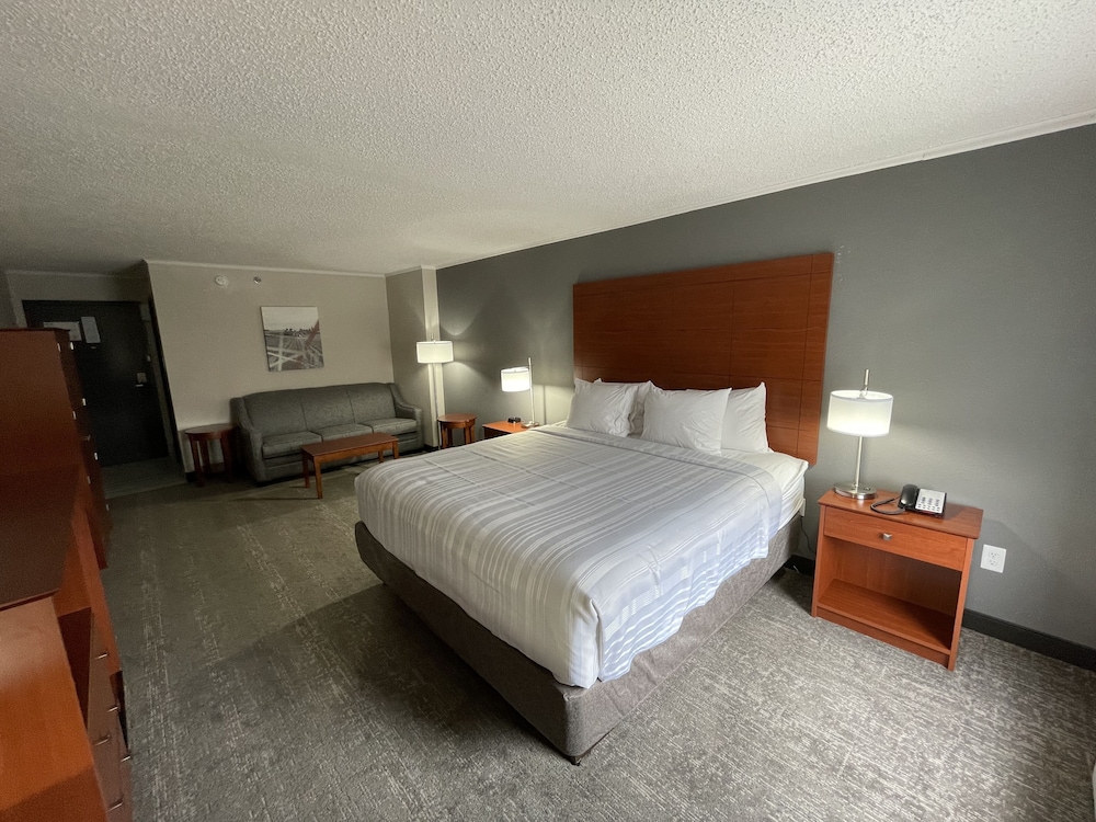 Standard Room, 1 King Bed with Sofa bed, Non Smoking, Refrigerator & Microwave (with Sofabed) - Photo 4