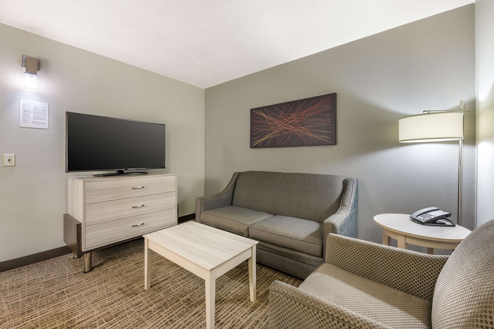 Suite, 1 King Bed, Non Smoking, Refrigerator & Microwave - Photo 1
