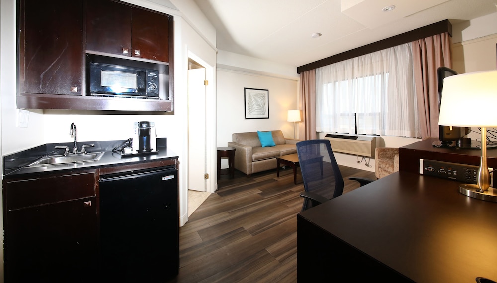 Suite, 1 Bedroom - Photo 1