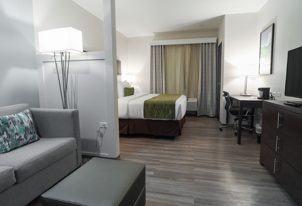 Junior Studio Suite, 1 King Bed with Sofa bed, Non Smoking