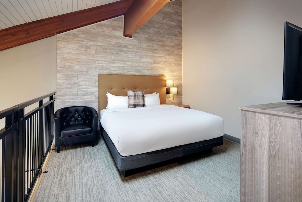 1 King Residential Loft Suite