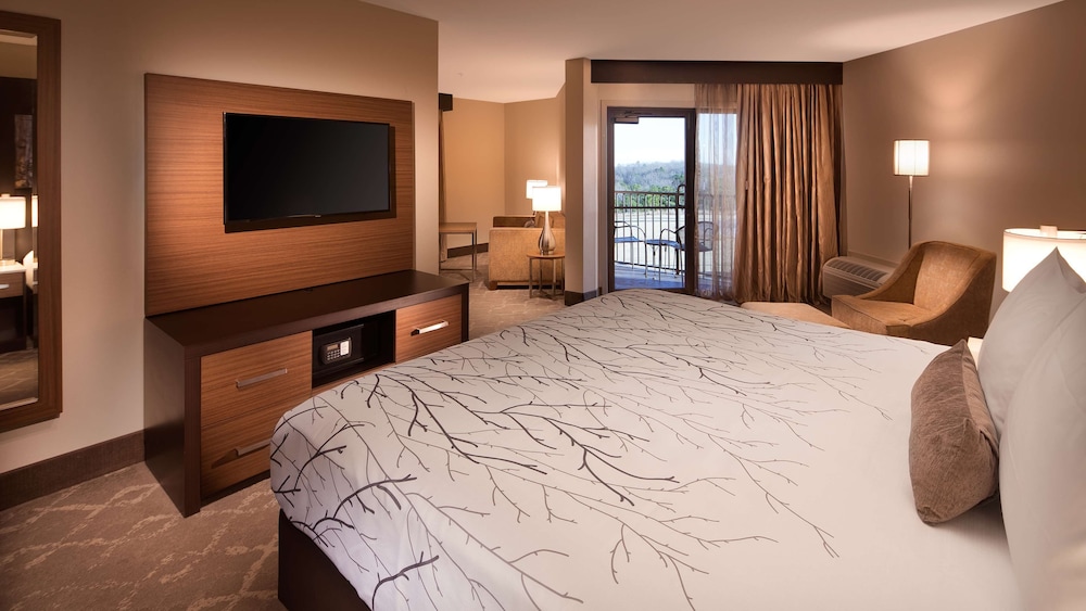 Suite, 1 King Bed, Non Smoking, Refrigerator & Microwave (with Sofabed) photo 1