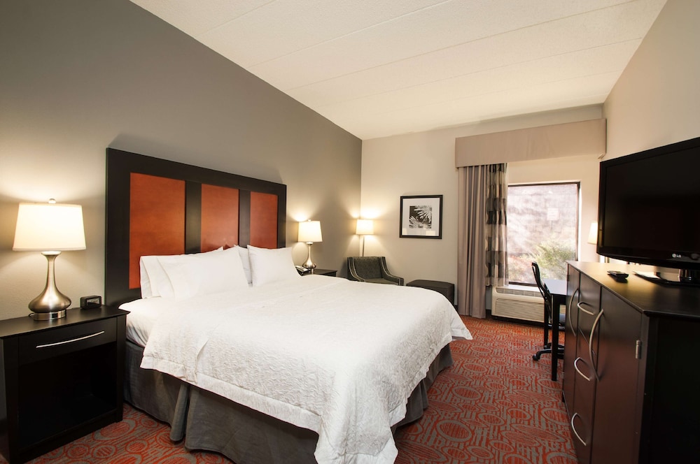 Room, 1 King Bed, Accessible - Photo 1