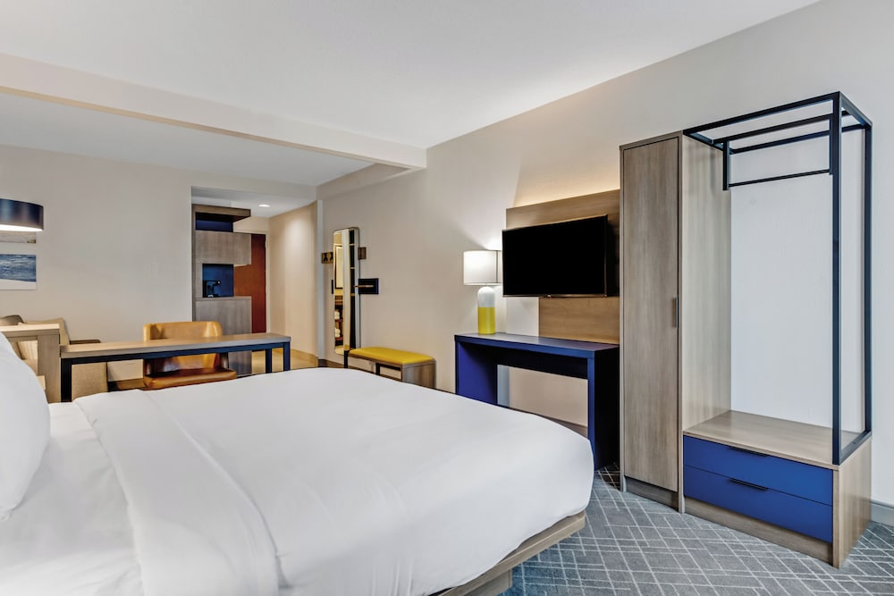 Suite, 1 King Bed with Sofa bed photo 3
