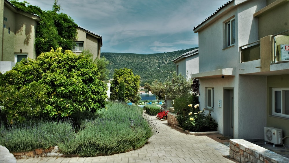 Apartment, Garden View