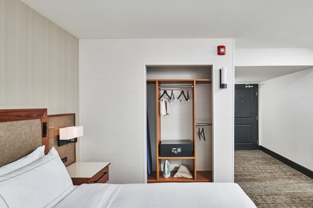 Room, 1 King Bed, Accessible, Bathtub (Mobility & Hearing) photo 1